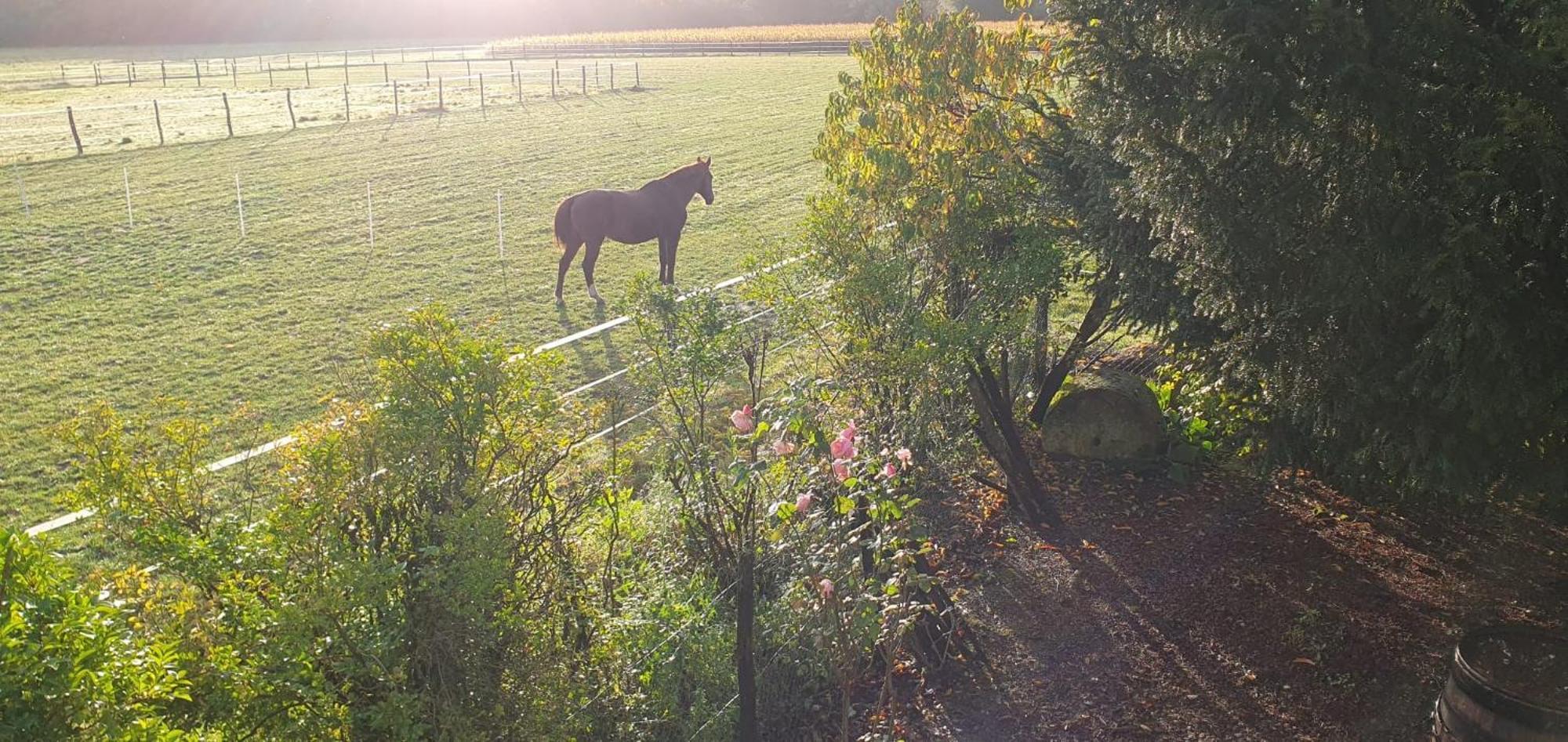 Longere Tourangelle Holiday home *