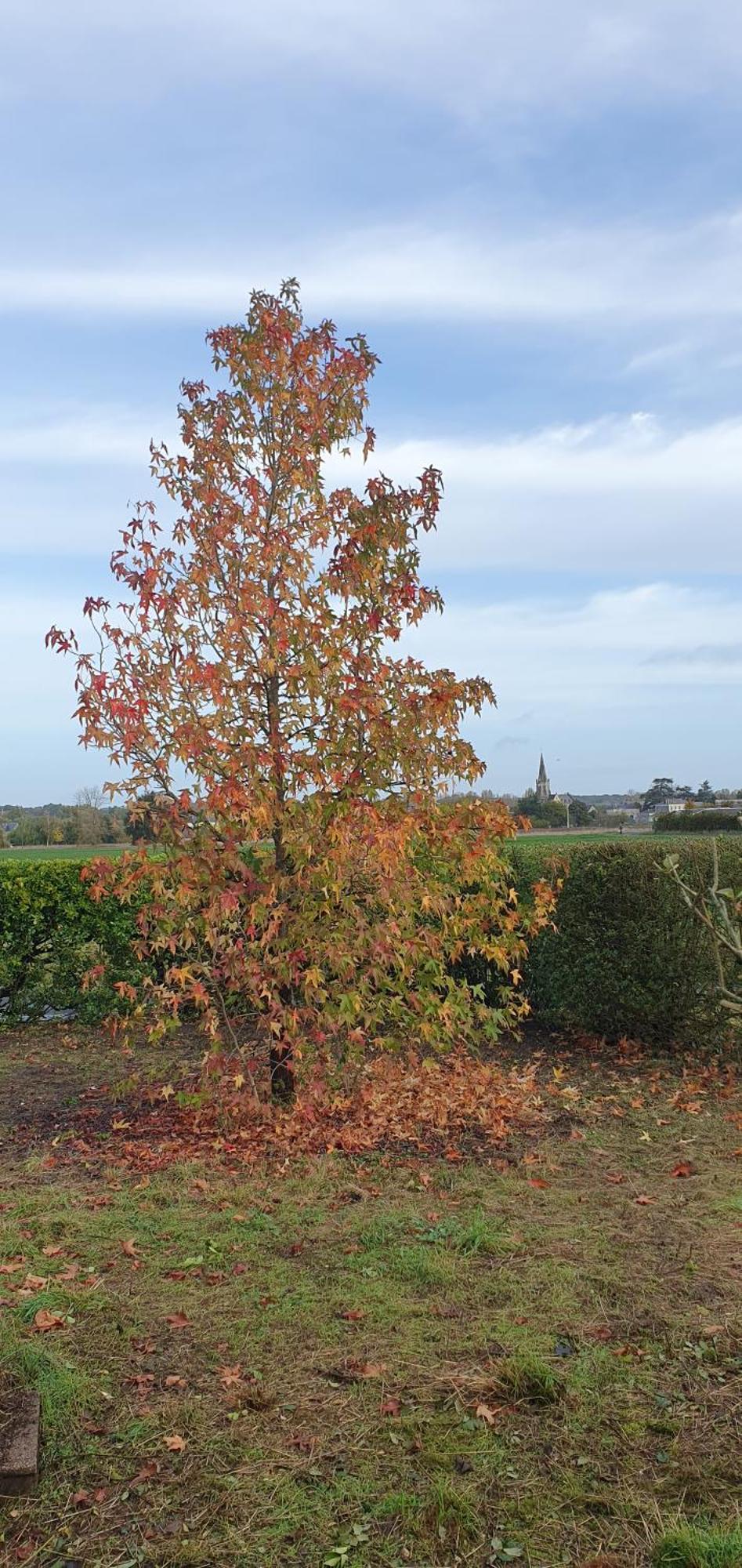Longere Tourangelle