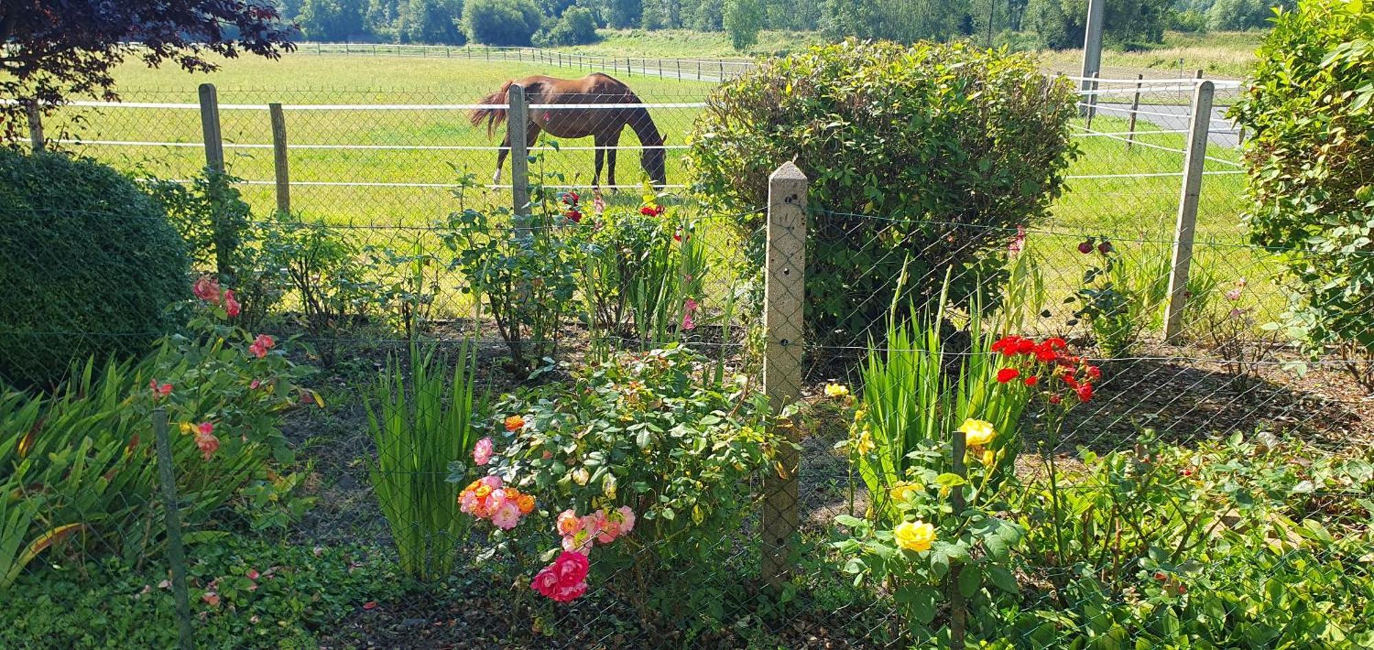 Longere Tourangelle